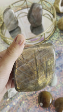 Load and play video in Gallery viewer, Labradorite Freeforms